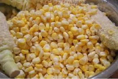 Giá ngô ghi nhận đợt tăng dài nhất 6 tháng qua
