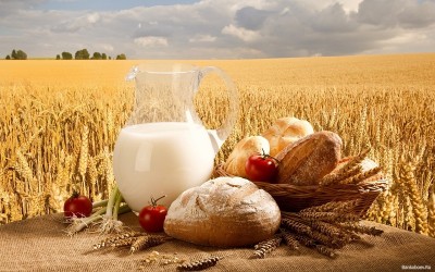Nhập khẩu lúa mì Việt Nam 2017 tăng mạnh